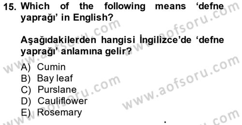 Turizm İçin İngilizce 2 Dersi 2013 - 2014 Yılı (Final) Dönem Sonu Sınav Soruları 15. Soru