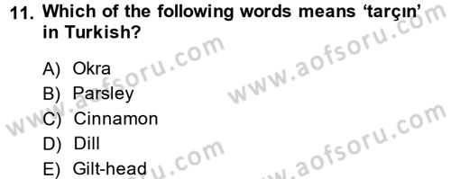 Turizm İçin İngilizce 2 Dersi 2014 - 2015 Yılı (Final) Dönem Sonu Sınav Soruları 11. Soru