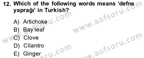 Turizm İçin İngilizce 2 Dersi 2014 - 2015 Yılı (Final) Dönem Sonu Sınav Soruları 12. Soru