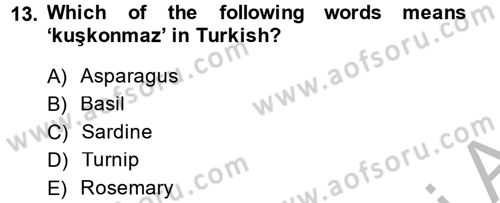 Turizm İçin İngilizce 2 Dersi 2014 - 2015 Yılı (Final) Dönem Sonu Sınav Soruları 13. Soru