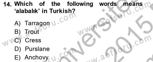Turizm İçin İngilizce 2 Dersi 2014 - 2015 Yılı (Final) Dönem Sonu Sınav Soruları 14. Soru