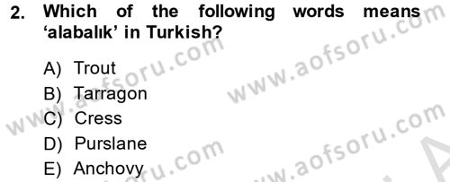 Turizm İçin İngilizce 2 Dersi 2014 - 2015 Yılı Tek Ders Sınav Soruları 2. Soru