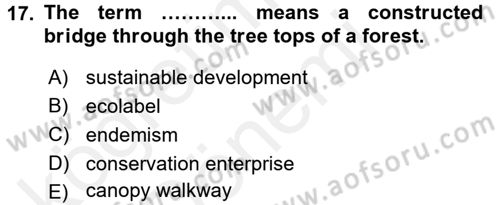 Turizm İçin İngilizce 2 Dersi 2015 - 2016 Yılı (Vize) Ara Sınav Soruları 17. Soru