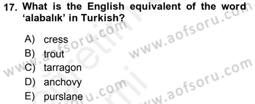 Turizm İçin İngilizce 2 Dersi 2015 - 2016 Yılı Tek Ders Sınavı 17. Soru