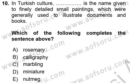 Turizm İçin İngilizce 2 Dersi 2016 - 2017 Yılı 3 Ders Sınav Soruları 10. Soru