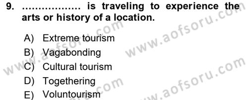 Turizm İçin İngilizce 2 Dersi 2016 - 2017 Yılı (Vize) Ara Sınav Soruları 9. Soru