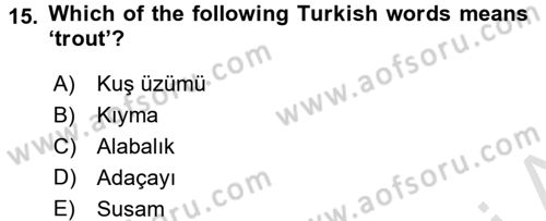 Turizm İçin İngilizce 2 Dersi 2016 - 2017 Yılı (Final) Dönem Sonu Sınav Soruları 15. Soru
