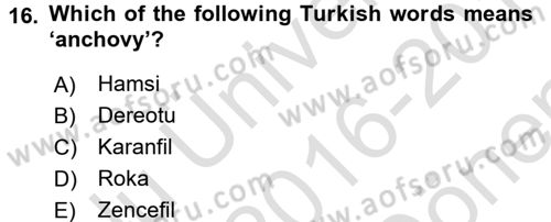 Turizm İçin İngilizce 2 Dersi 2016 - 2017 Yılı (Final) Dönem Sonu Sınav Soruları 16. Soru