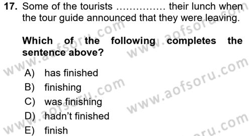 Turizm İçin İngilizce 2 Dersi 2016 - 2017 Yılı (Final) Dönem Sonu Sınav Soruları 17. Soru