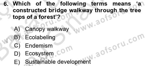 Turizm İçin İngilizce 2 Dersi 2016 - 2017 Yılı (Final) Dönem Sonu Sınav Soruları 6. Soru