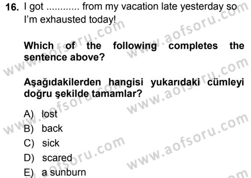 Ingilizce 1 Dersi 2013 - 2014 Yılı (Final) Dönem Sonu Sınavı 16. Soru