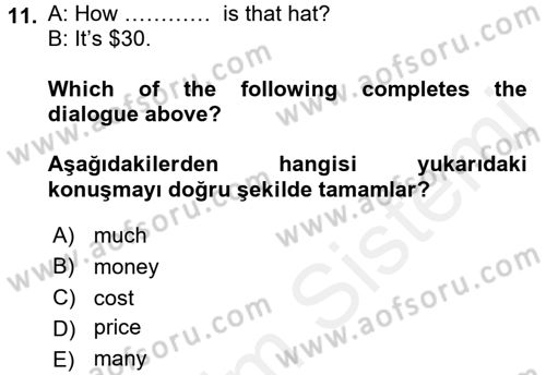 Ingilizce 1 Dersi 2016 - 2017 Yılı (Final) Dönem Sonu Sınavı 11. Soru