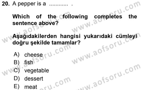 Ingilizce 1 Dersi 2016 - 2017 Yılı (Final) Dönem Sonu Sınavı 20. Soru