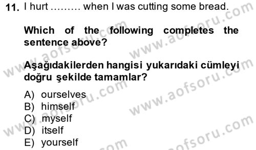 İngilizce 2 Dersi 2013 - 2014 Yılı (Final) Dönem Sonu Sınav Soruları 11. Soru