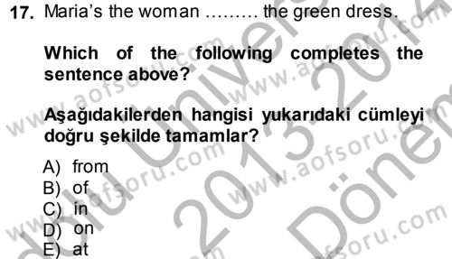 İngilizce 2 Dersi 2013 - 2014 Yılı (Final) Dönem Sonu Sınav Soruları 17. Soru