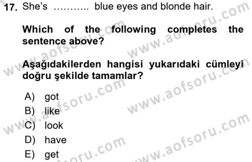 İngilizce 2 Dersi 2016 - 2017 Yılı (Final) Dönem Sonu Sınav Soruları 17. Soru