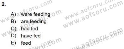 Bağlamsal Dilbilgisi 1 Dersi 2015 - 2016 Yılı (Final) Dönem Sonu Sınav Soruları 2. Soru