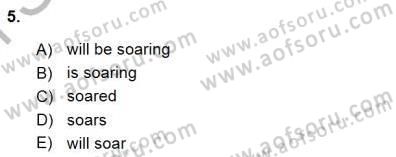 Bağlamsal Dilbilgisi 1 Dersi 2015 - 2016 Yılı (Final) Dönem Sonu Sınav Soruları 5. Soru