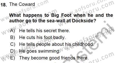 Okuma Ve Yazma Becerileri 1 Dersi 2015 - 2016 Yılı (Final) Dönem Sonu Sınav Soruları 18. Soru