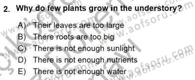 Okuma Ve Yazma Becerileri 1 Dersi 2015 - 2016 Yılı (Final) Dönem Sonu Sınav Soruları 2. Soru