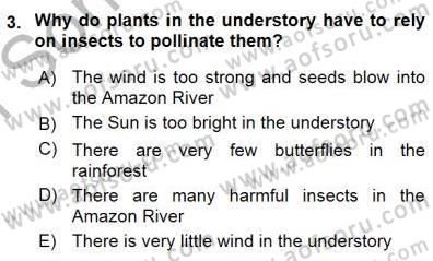 Okuma Ve Yazma Becerileri 1 Dersi 2015 - 2016 Yılı (Final) Dönem Sonu Sınav Soruları 3. Soru