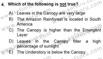 Okuma Ve Yazma Becerileri 1 Dersi 2015 - 2016 Yılı (Final) Dönem Sonu Sınav Soruları 4. Soru