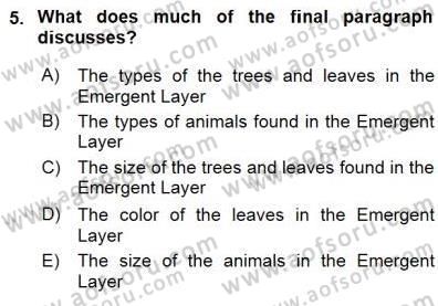 Okuma Ve Yazma Becerileri 1 Dersi 2015 - 2016 Yılı (Final) Dönem Sonu Sınav Soruları 5. Soru