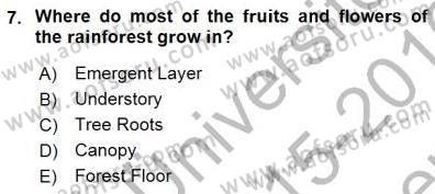 Okuma Ve Yazma Becerileri 1 Dersi 2015 - 2016 Yılı (Final) Dönem Sonu Sınav Soruları 7. Soru