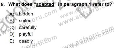 Okuma Ve Yazma Becerileri 1 Dersi 2015 - 2016 Yılı (Final) Dönem Sonu Sınav Soruları 8. Soru