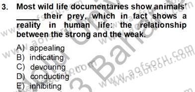 Okuma Ve Yazma Becerileri 2 Dersi 2012 - 2013 Yılı (Final) Dönem Sonu Sınav Soruları 3. Soru