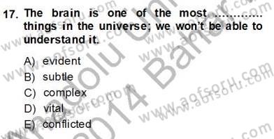 Okuma Ve Yazma Becerileri 2 Dersi 2013 - 2014 Yılı (Final) Dönem Sonu Sınav Soruları 17. Soru