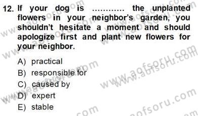 Okuma Ve Yazma Becerileri 2 Dersi 2014 - 2015 Yılı (Vize) Ara Sınav Soruları 12. Soru