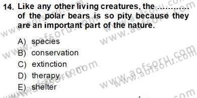 Okuma Ve Yazma Becerileri 2 Dersi 2014 - 2015 Yılı (Final) Dönem Sonu Sınav Soruları 14. Soru