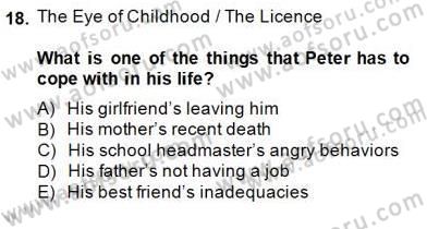 Okuma Ve Yazma Becerileri 2 Dersi 2014 - 2015 Yılı (Final) Dönem Sonu Sınav Soruları 18. Soru