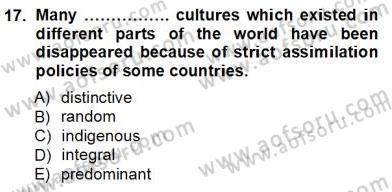 İleri Okuma Ve Yazma Becerileri 1 Dersi 2012 - 2013 Yılı (Vize) Ara Sınavı 17. Soru