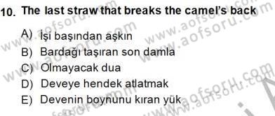 Çeviri (İng/Türk) Dersi Ara Sınavı Deneme Sınav Soruları 10. Soru