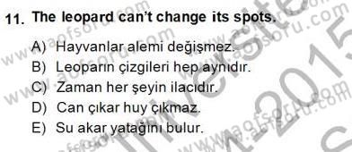 Çeviri (İng/Türk) Dersi Ara Sınavı Deneme Sınav Soruları 11. Soru