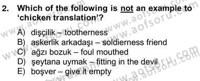 Çeviri (Türk/İng) Dersi 2012 - 2013 Yılı (Vize) Ara Sınav Soruları 2. Soru
