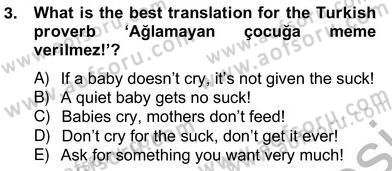 Çeviri (Türk/İng) Dersi 2012 - 2013 Yılı (Vize) Ara Sınav Soruları 3. Soru