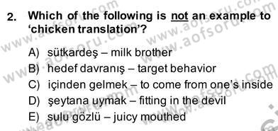 Çeviri (Türk/İng) Dersi 2013 - 2014 Yılı (Vize) Ara Sınav Soruları 2. Soru