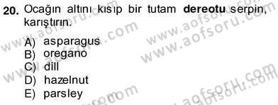 Çeviri (Türk/İng) Dersi 2013 - 2014 Yılı (Vize) Ara Sınav Soruları 20. Soru