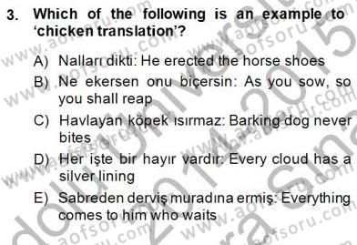 Çeviri (Türk/İng) Dersi 2014 - 2015 Yılı (Vize) Ara Sınav Soruları 3. Soru