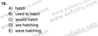 Bağlamsal Dilbilgisi 4 Dersi 2013 - 2014 Yılı (Vize) Ara Sınav Soruları 19. Soru