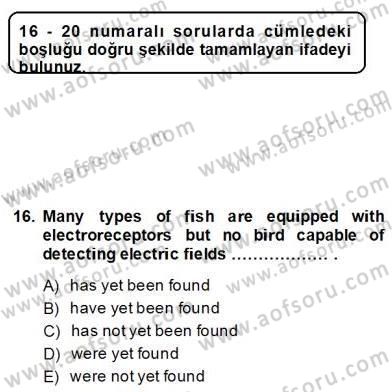 Bağlamsal Dilbilgisi 4 Dersi 2013 - 2014 Yılı (Final) Dönem Sonu Sınav Soruları 16. Soru