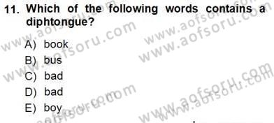 Dilbilim 1 Dersi Ara Sınavı Deneme Sınav Soruları 11. Soru