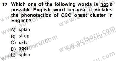 Dilbilim 1 Dersi Ara Sınavı Deneme Sınav Soruları 12. Soru