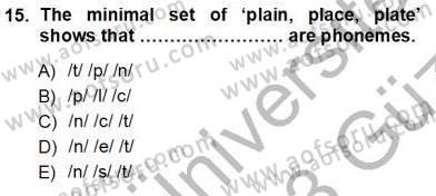 Dilbilim 1 Dersi Ara Sınavı Deneme Sınav Soruları 15. Soru