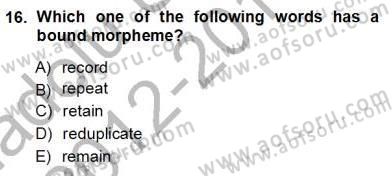 Dilbilim 1 Dersi Ara Sınavı Deneme Sınav Soruları 16. Soru