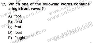 Dilbilim 1 Dersi Ara Sınavı Deneme Sınav Soruları 17. Soru