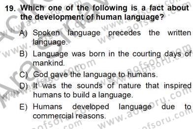 Dilbilim 1 Dersi Ara Sınavı Deneme Sınav Soruları 19. Soru